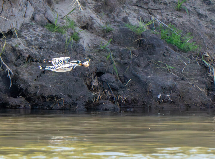 DSC00560-Enhanced-NR