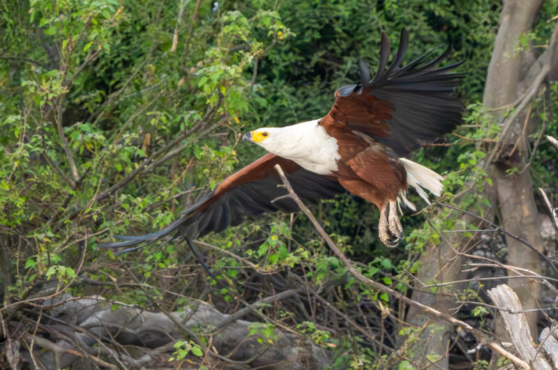 DSC05800-Enhanced-NR