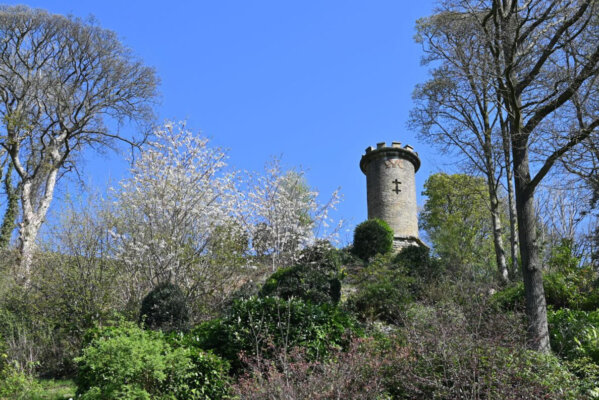 ClaytonTower-revised-image