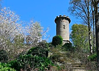 kevins shot with steps