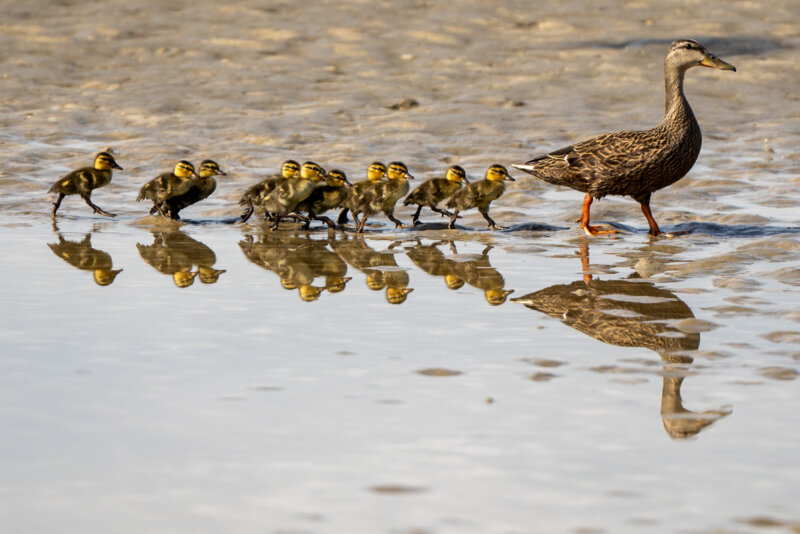 DSC05592-Enhanced-NR-2