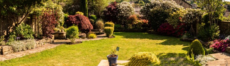 BPG Photo Walk Secret Garden 1 May 2025 00004-Pano