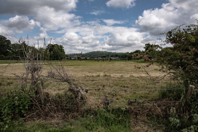 BPG Photo Walk Layers 22 May 2025 00016