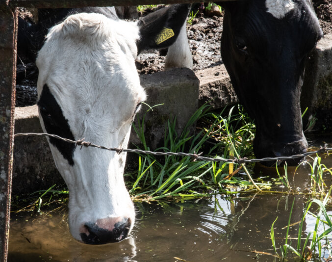 BPG Photo Walk Layers 22 May 2025 00002