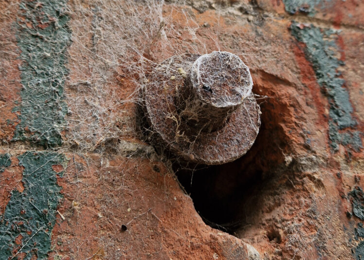 Julia - F1.8 180th sec, ISO 50 - Smartphone