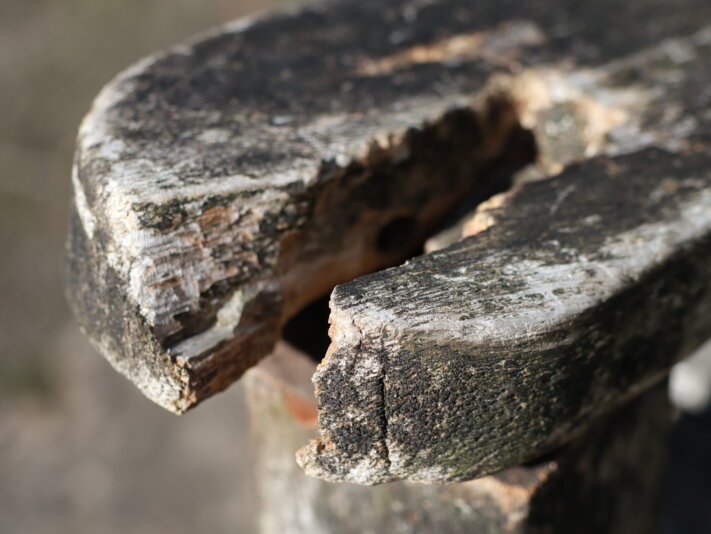 Julia - F6.3, 500th sec, ISO 200 Canon M50m2