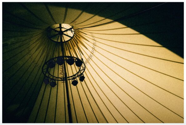 slow walk blog content