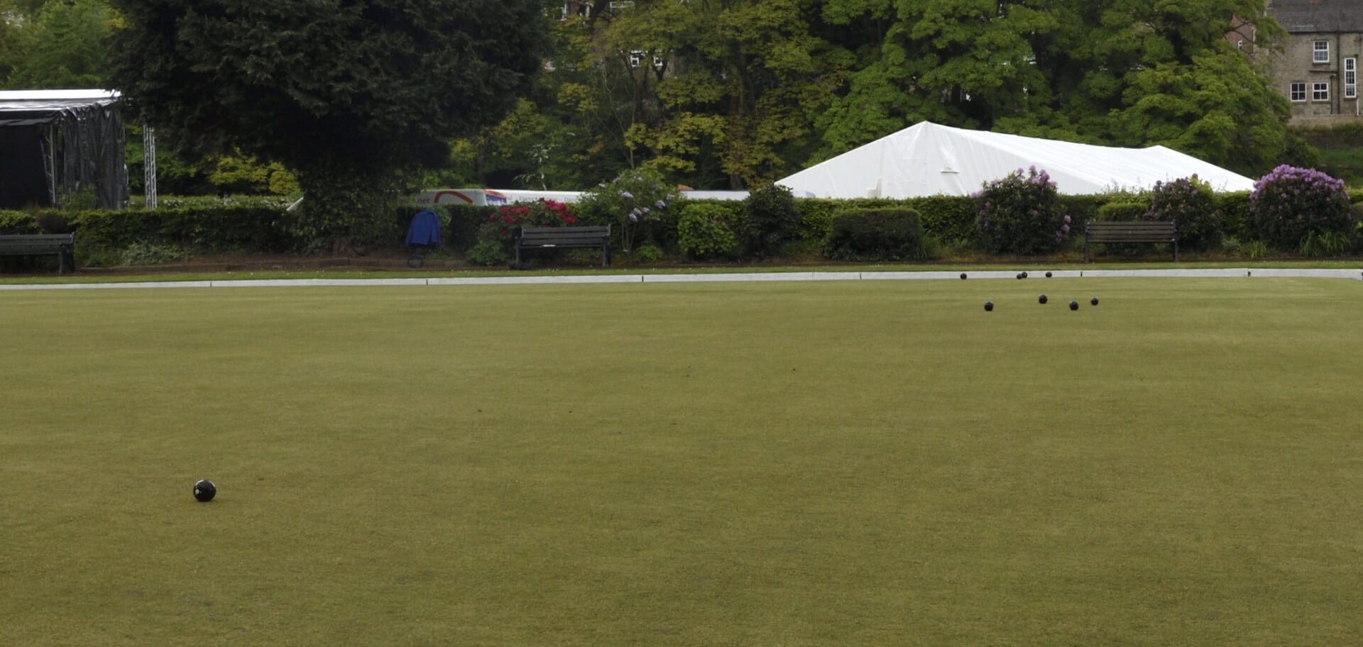 5339 bowls