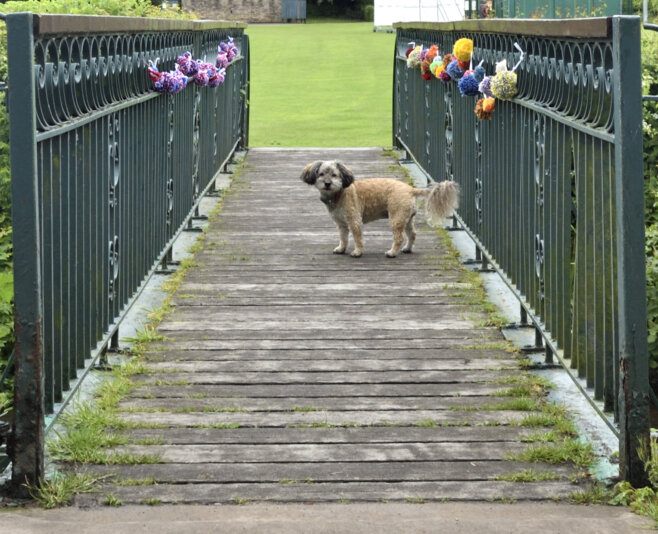 5247 bridge decorations