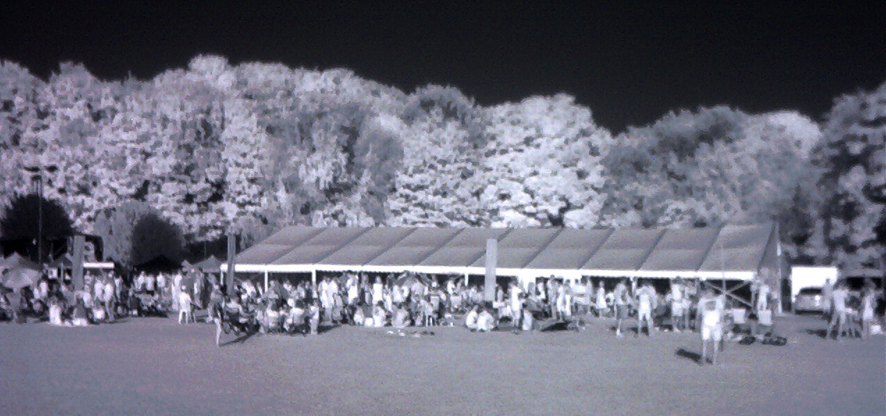 5446b Party at the Rec