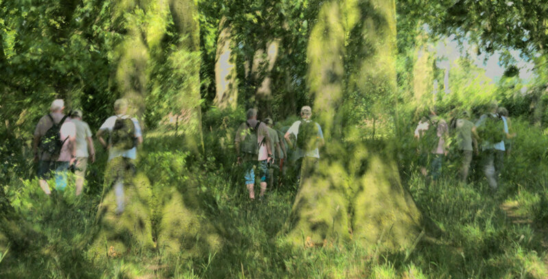 Group in trees