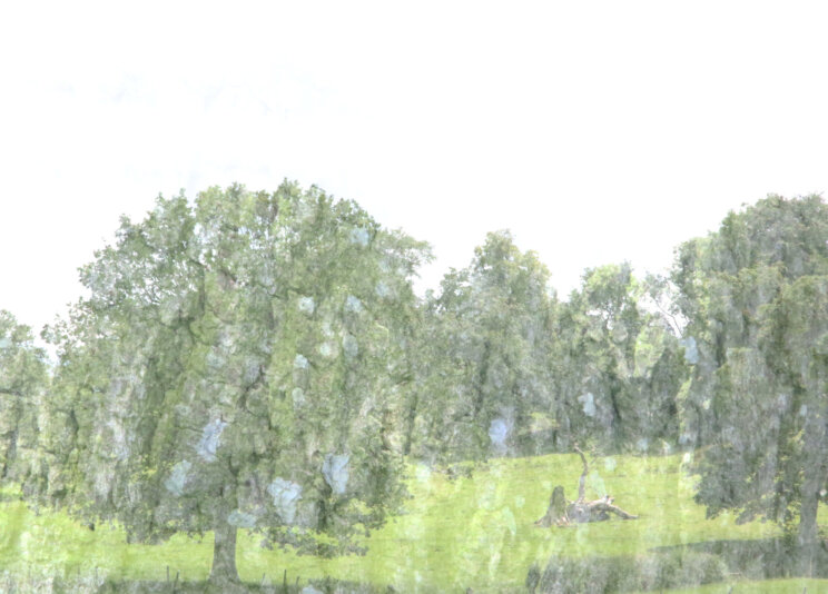 7S7A5053c