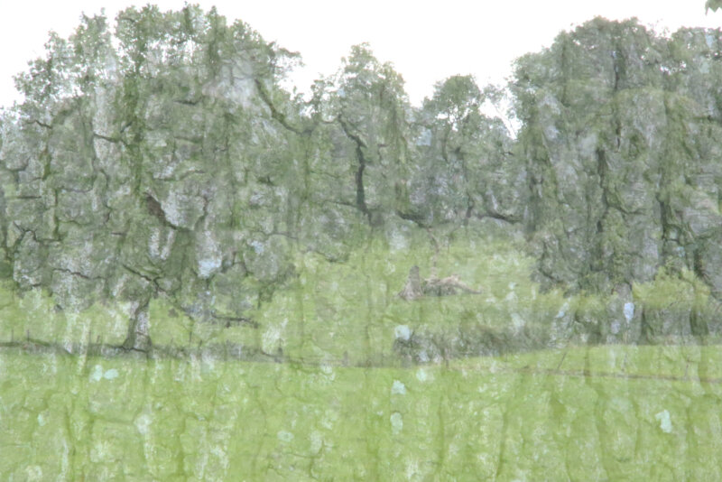 7S7A5057C