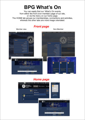 website navigation