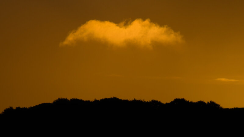 _DSC5914-1