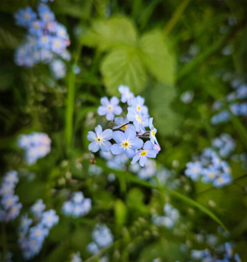 IMG_5980