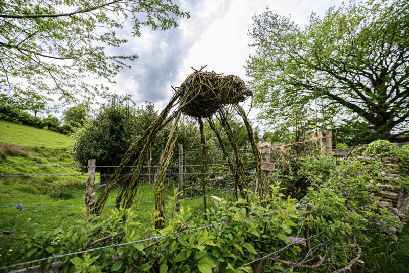 (c) Andrew Huggett