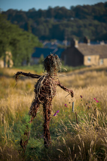 (c) Andrew Huggett