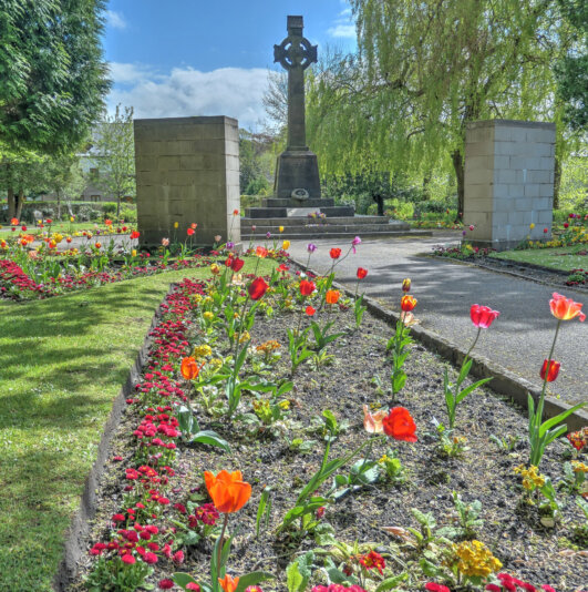 Splash of colour – Terry Heathcote