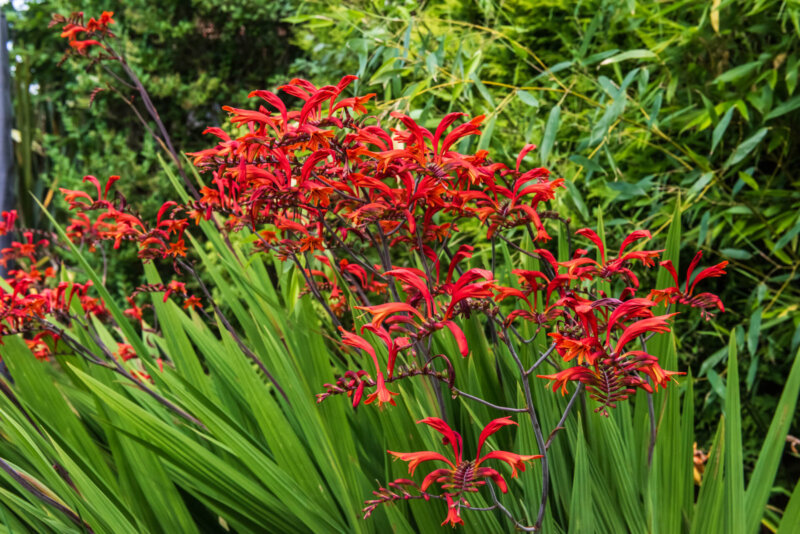 2026-07-22__DSC5750