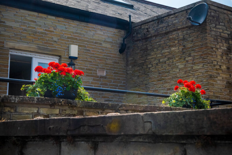 2026-07-22__DSC5775