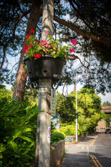 2026-07-22__DSC5774