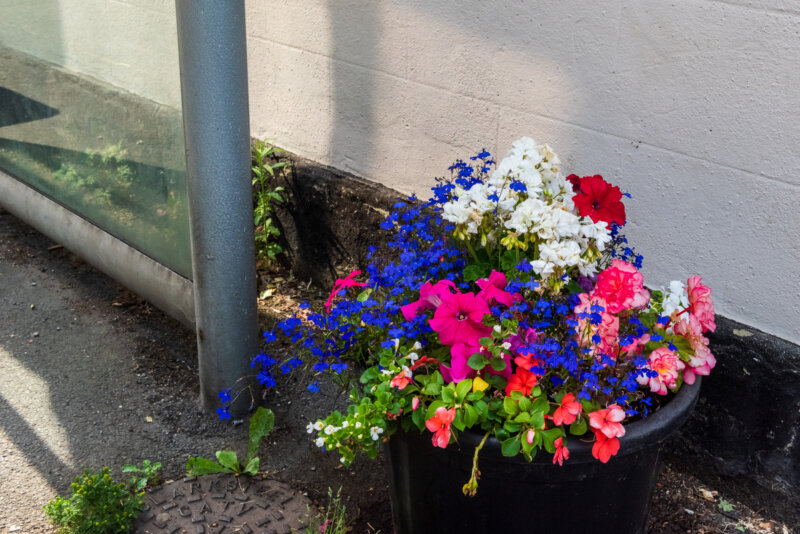 2026-07-22__DSC5776