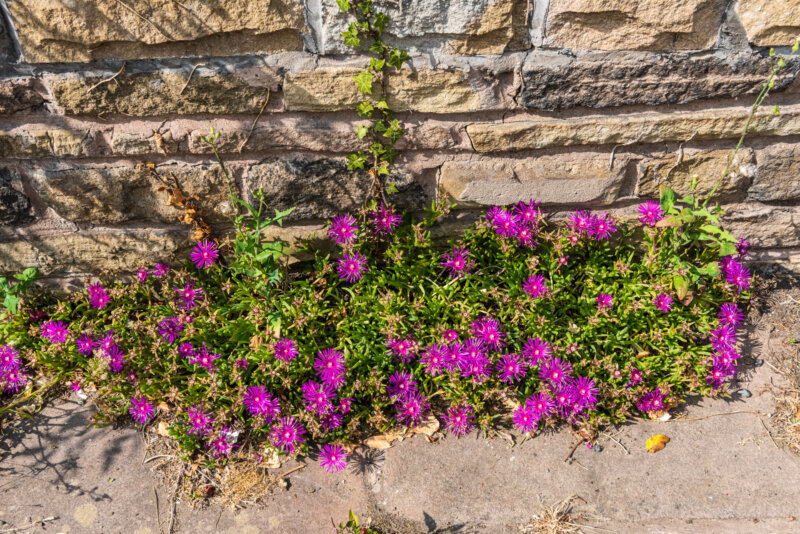 2026-07-22__DSC5764
