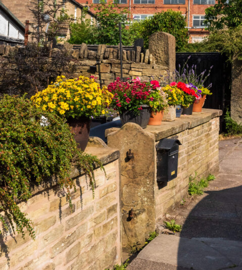 2026-07-22__DSC5849