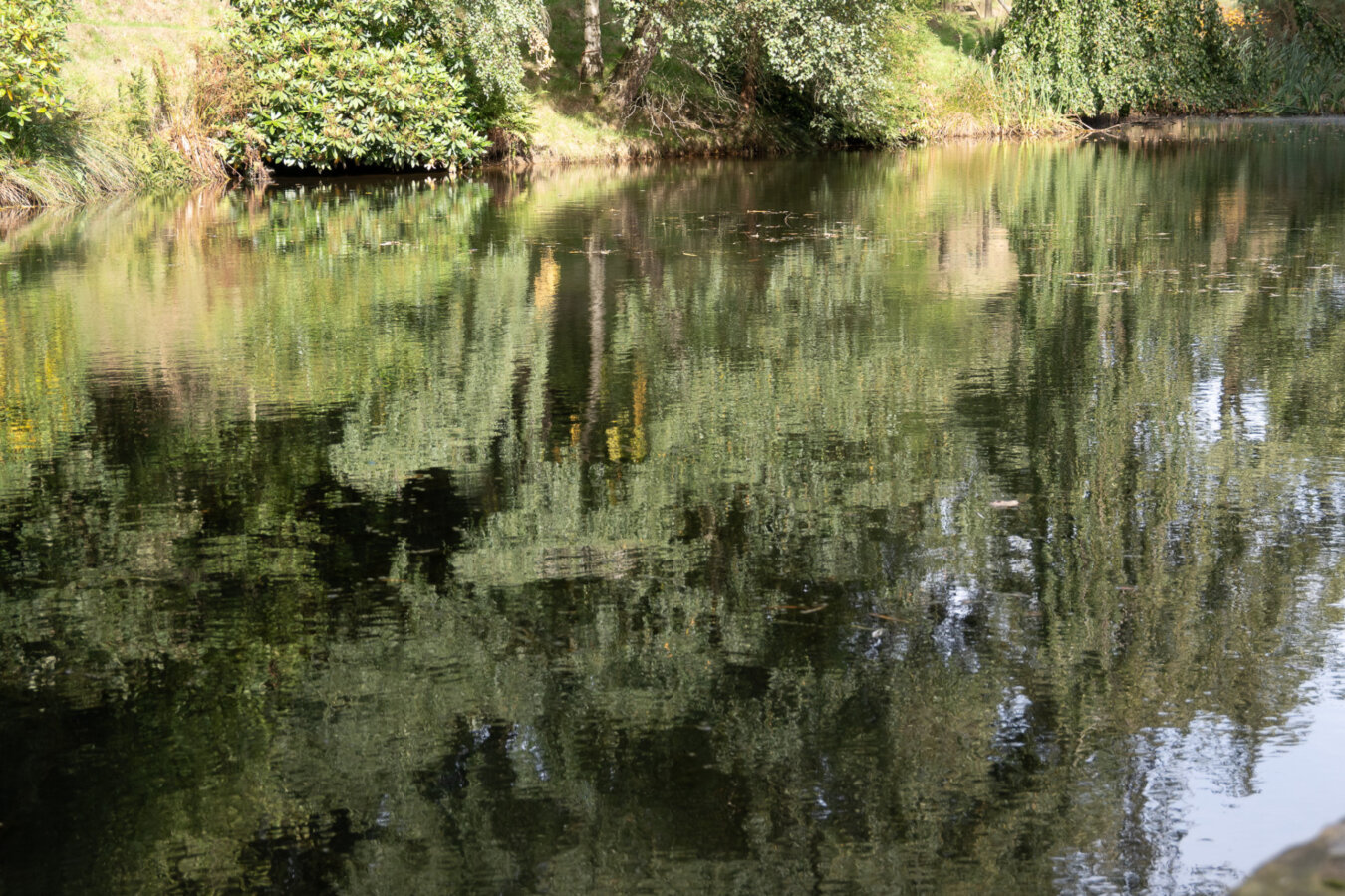 _DSC2845