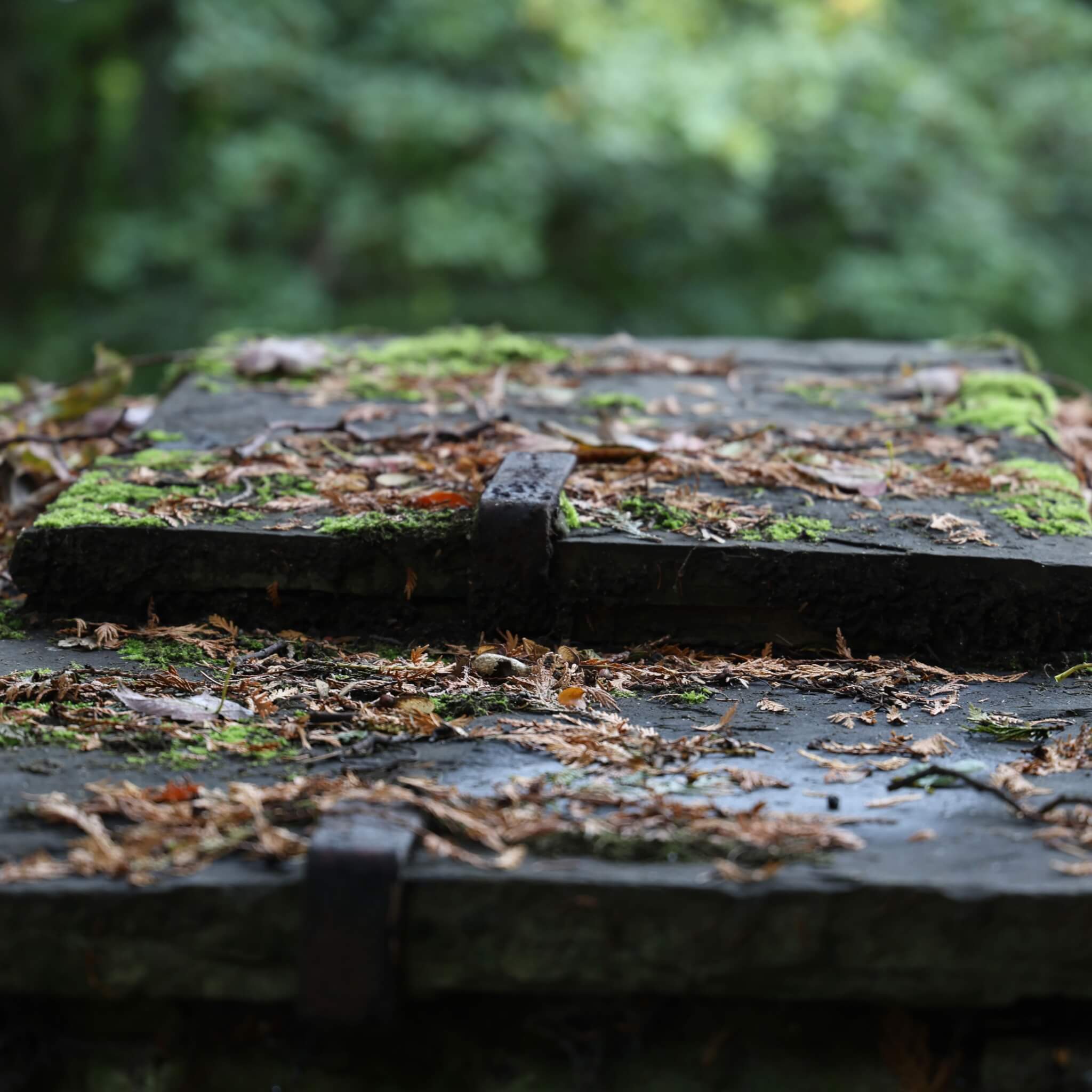 BPG square - 1 of 1 (2)