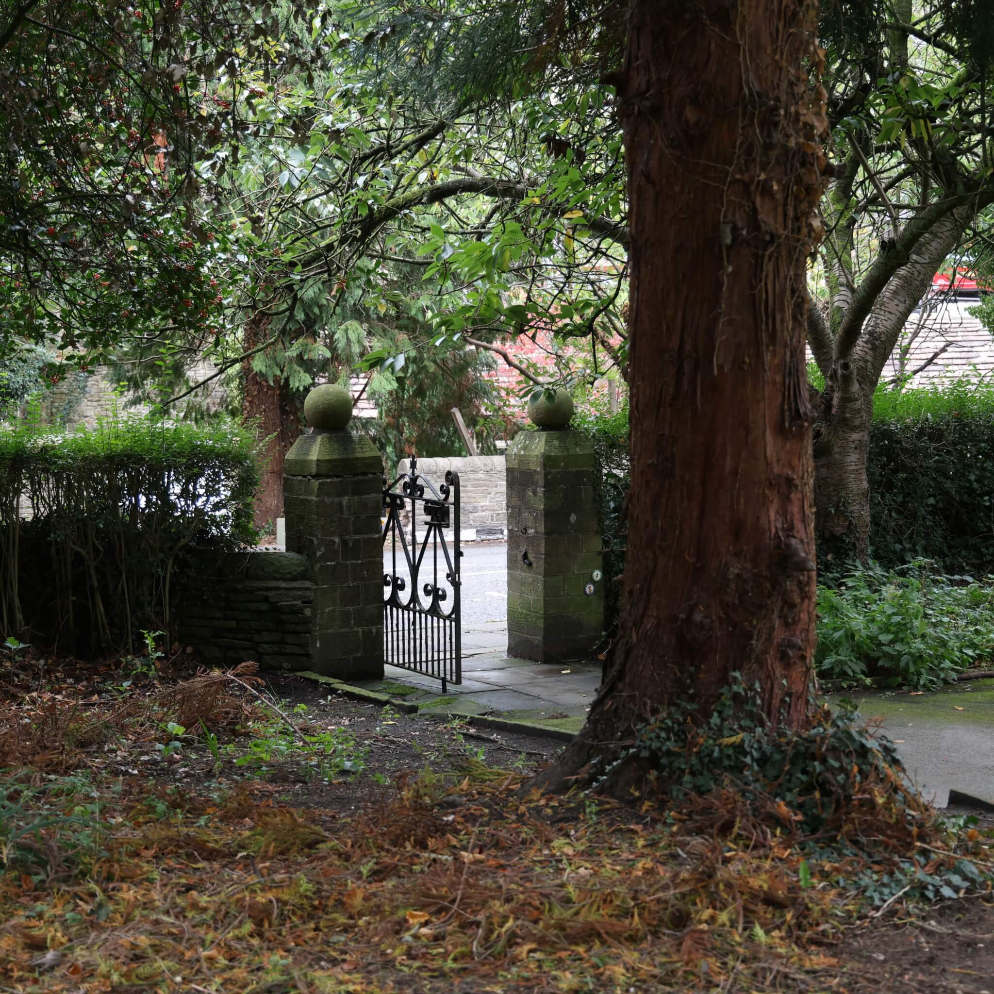 BPG square - 1 of 1 (5)