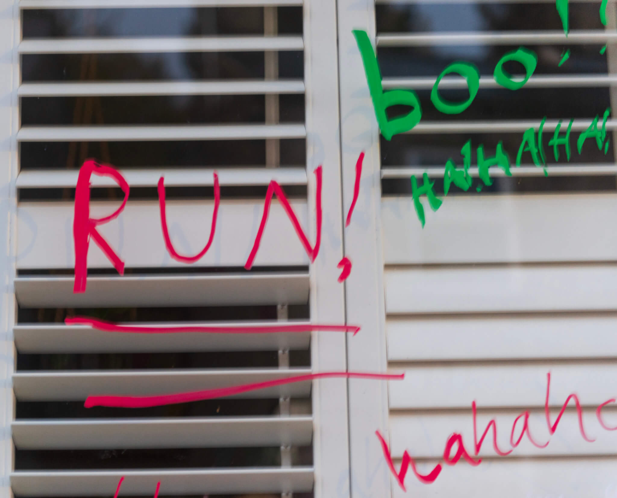 2025-10-31_2025-10-31__DSC0721