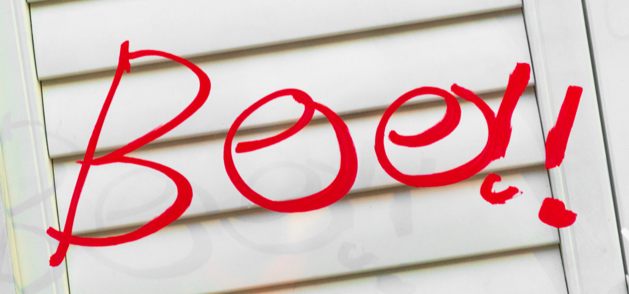 2025-10-31_2025-10-31__DSC0722