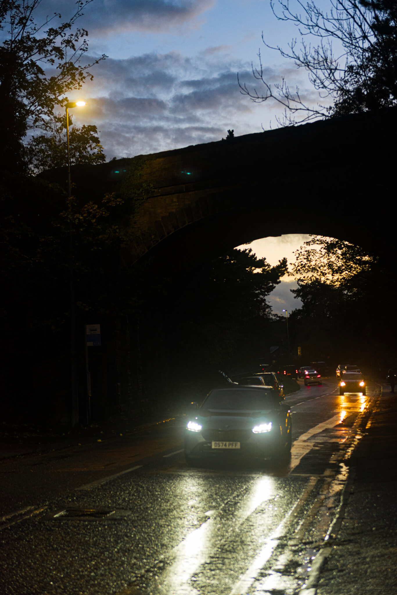 2025-10-31_2025-10-31__DSC0725