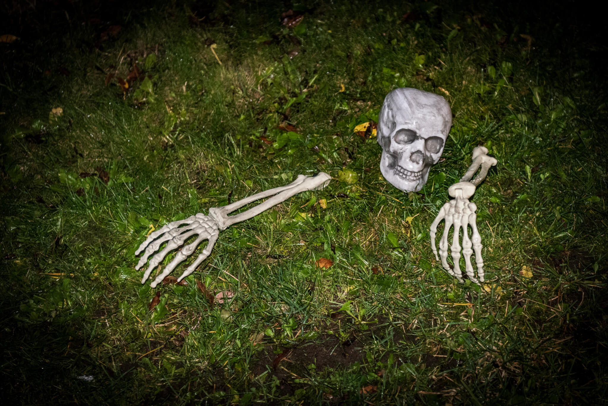 2025-10-31_2025-10-31__DSC0732