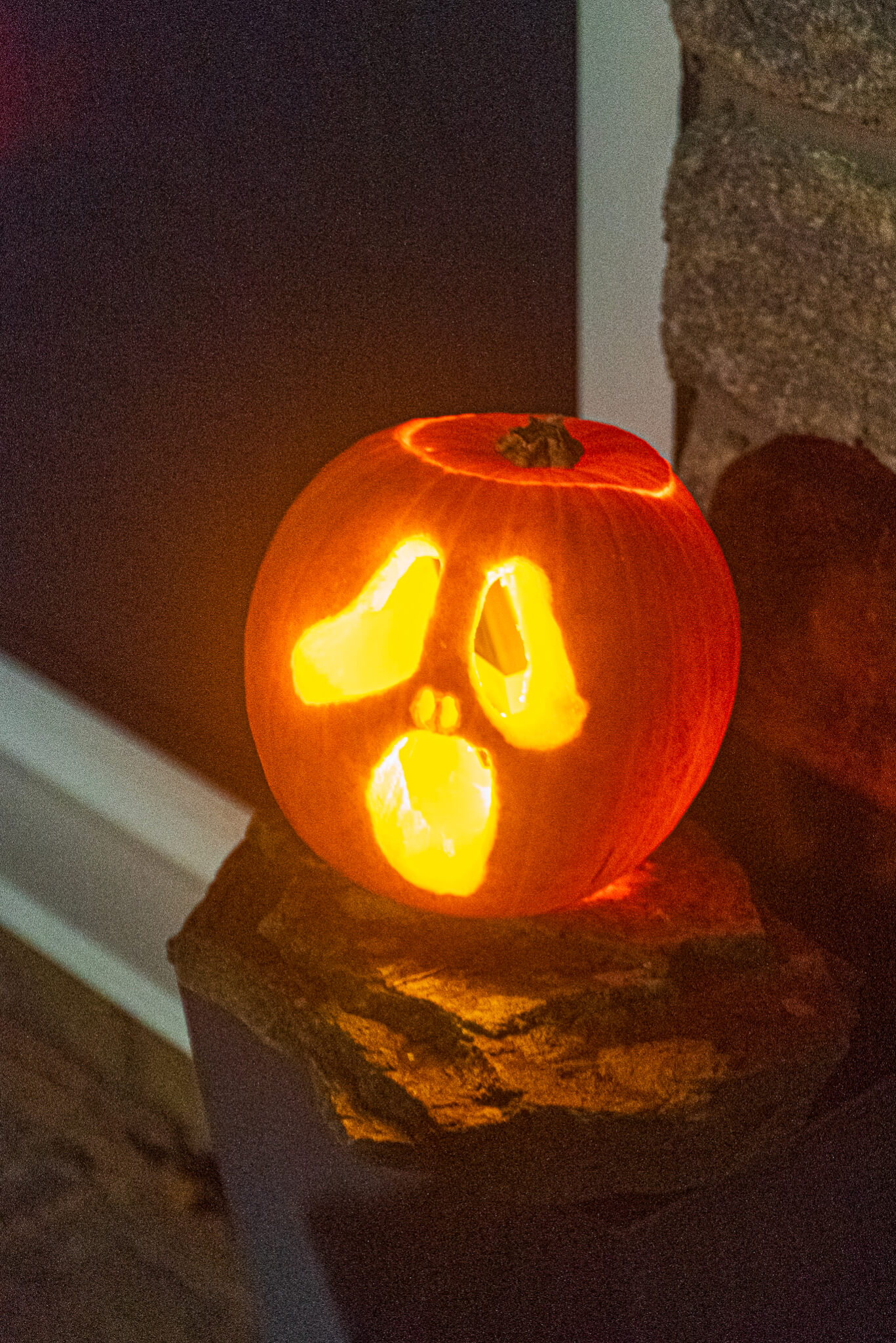 2025-10-31_2025-10-31__DSC0749