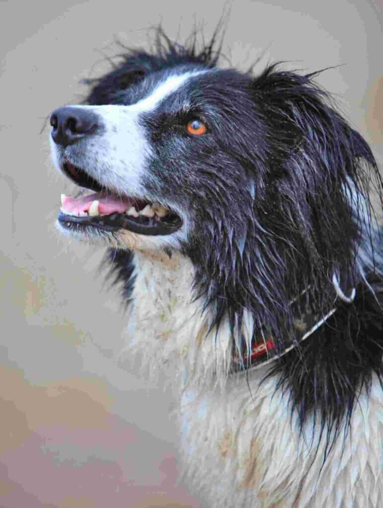 The art of concentration