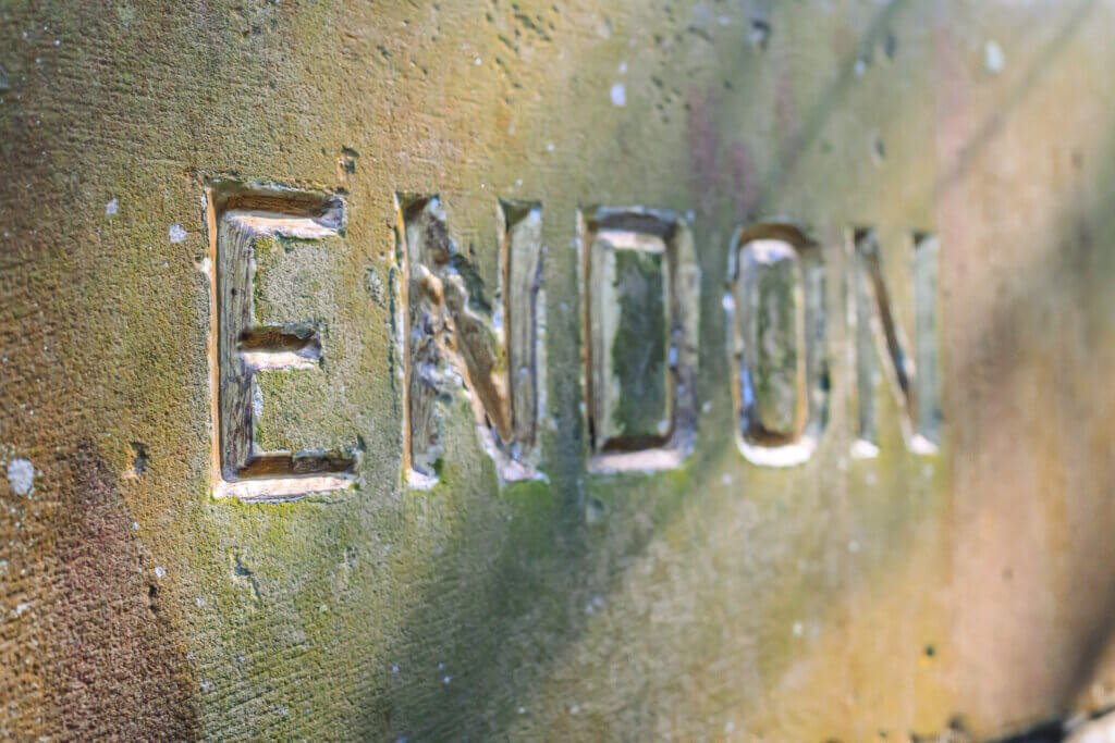 ‘Endon’