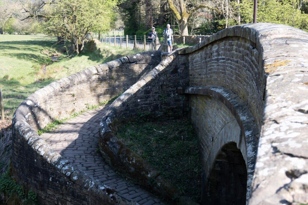 Twisted bridge