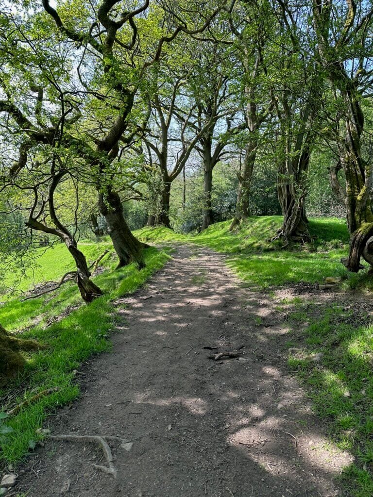 Old byway through Harrop Woods