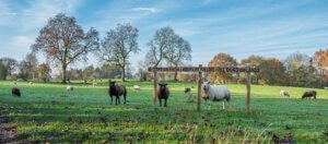 Kerridge Fields