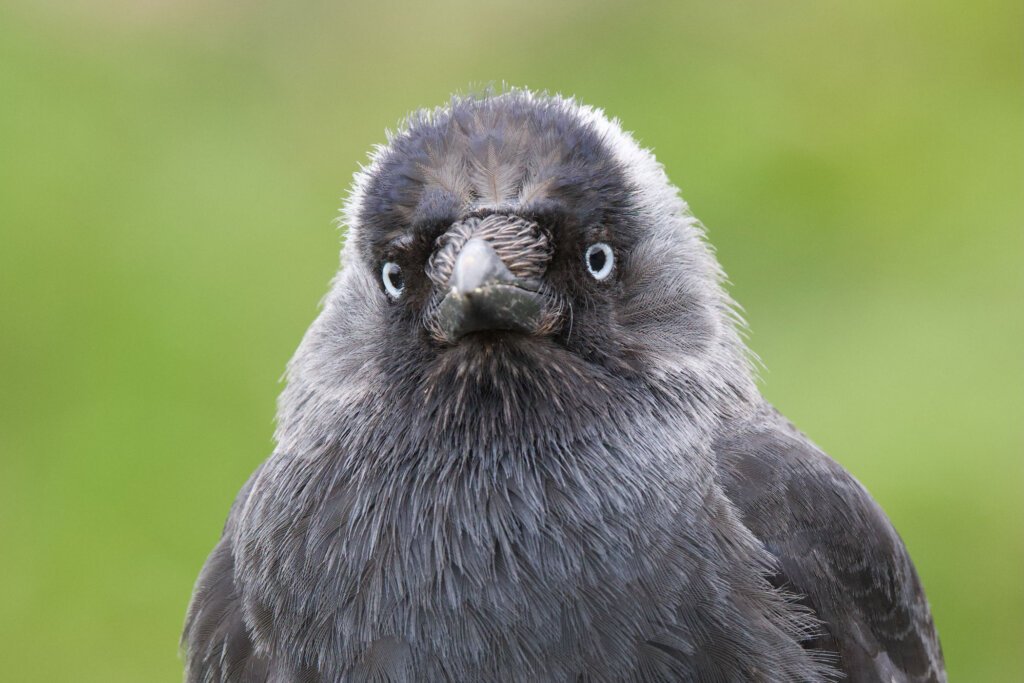 I'm watching you