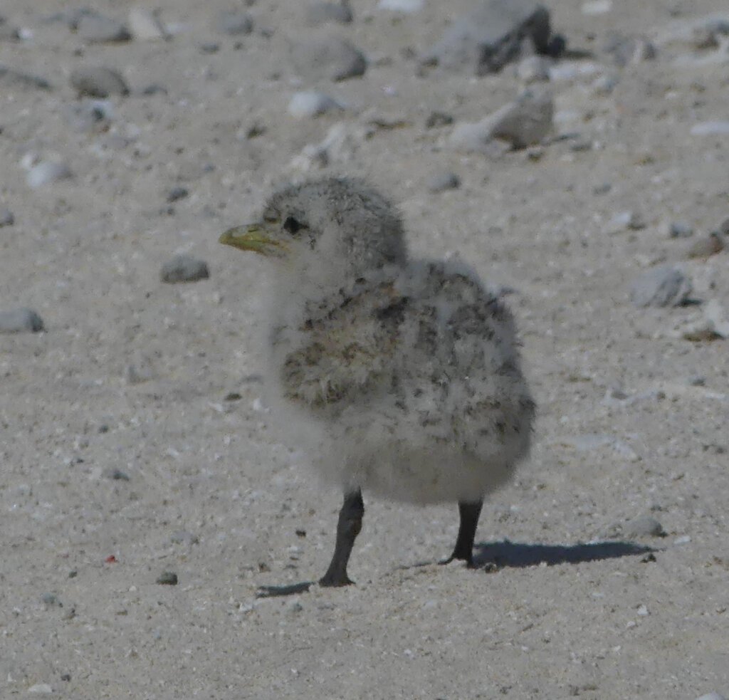 Where's mum?