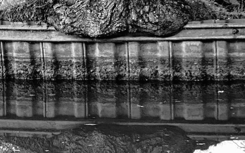 “Slow Photography”….