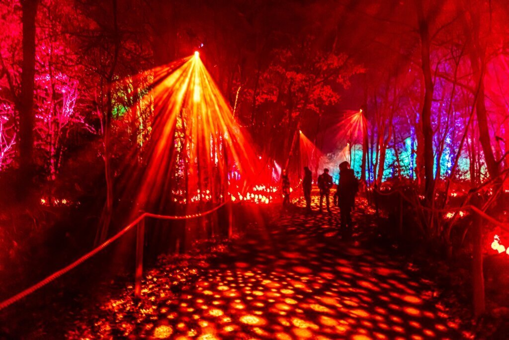 Harry Potter themed Light Show in Arley Hall