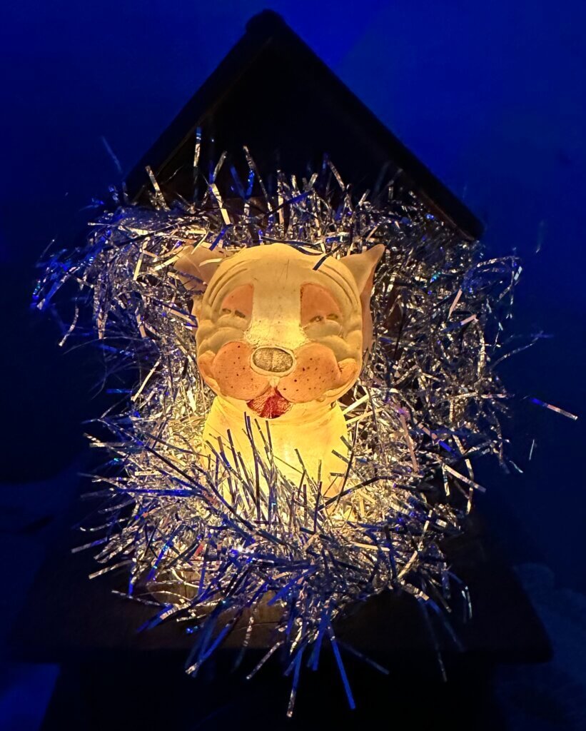 Night Light