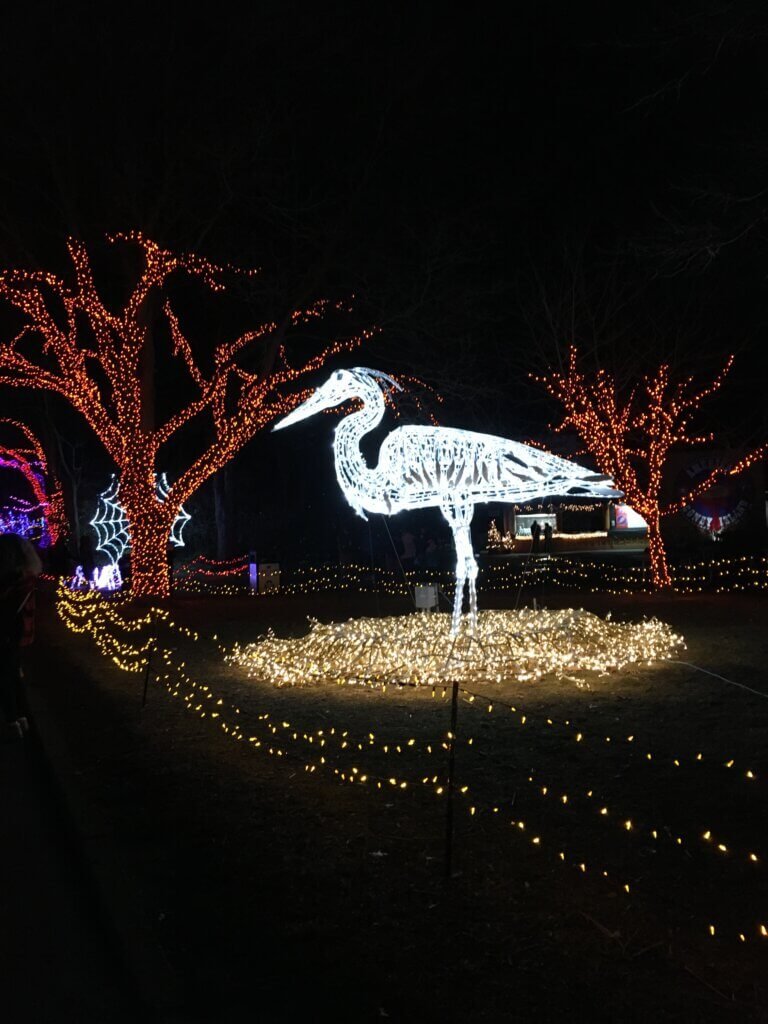 Zoo at night