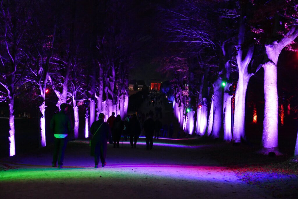 Light The Way
