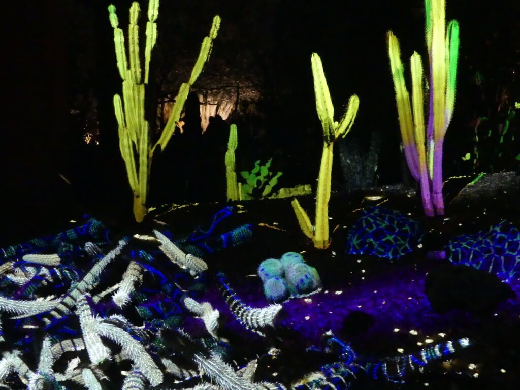 Spooky Cacti